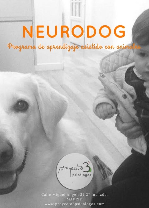 Neurodog